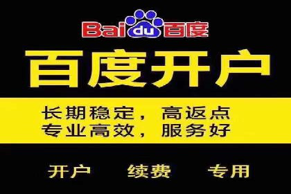 某电商平台sem竞价运营的突破与挑战